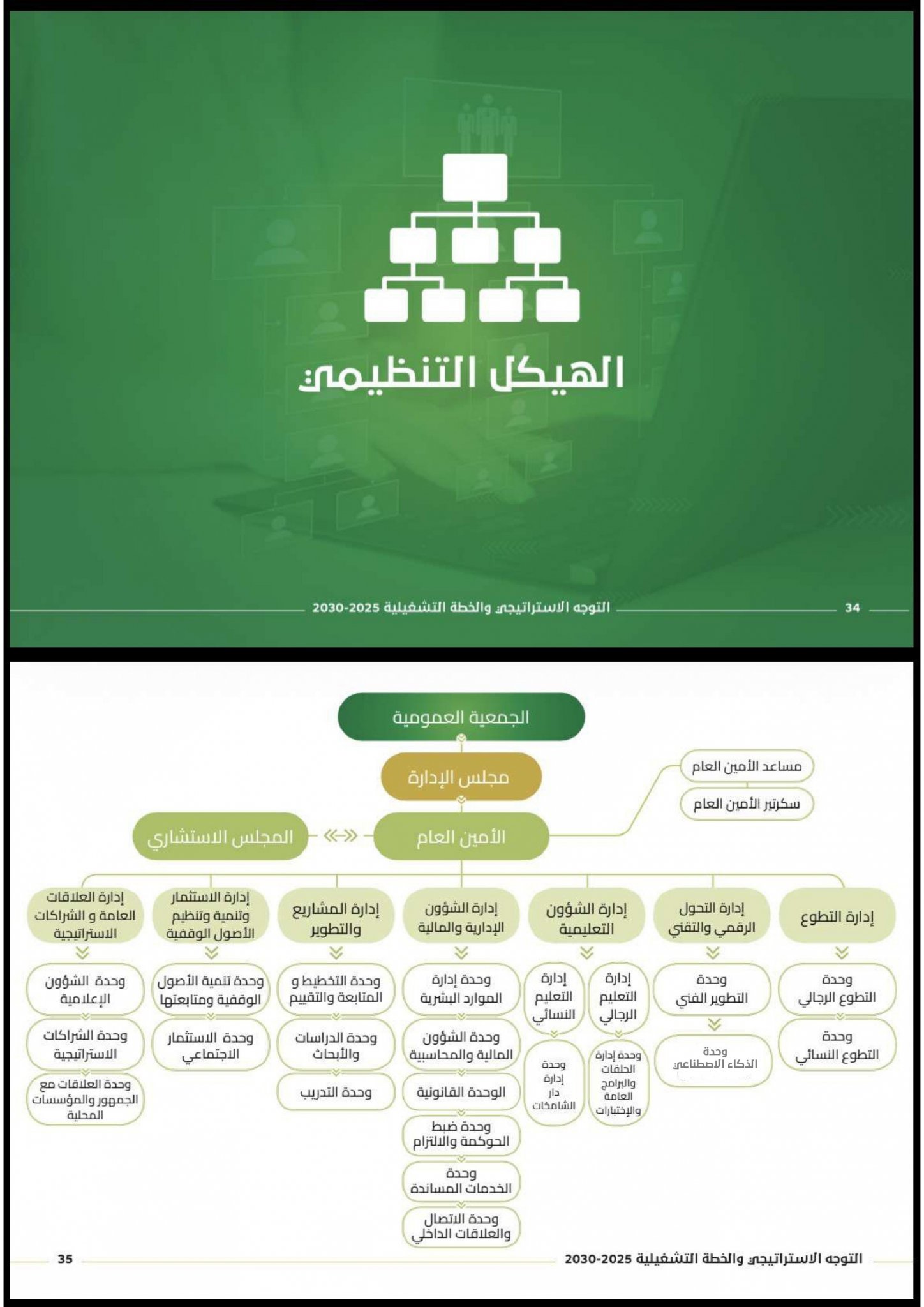 الهيكل التنظيمي 